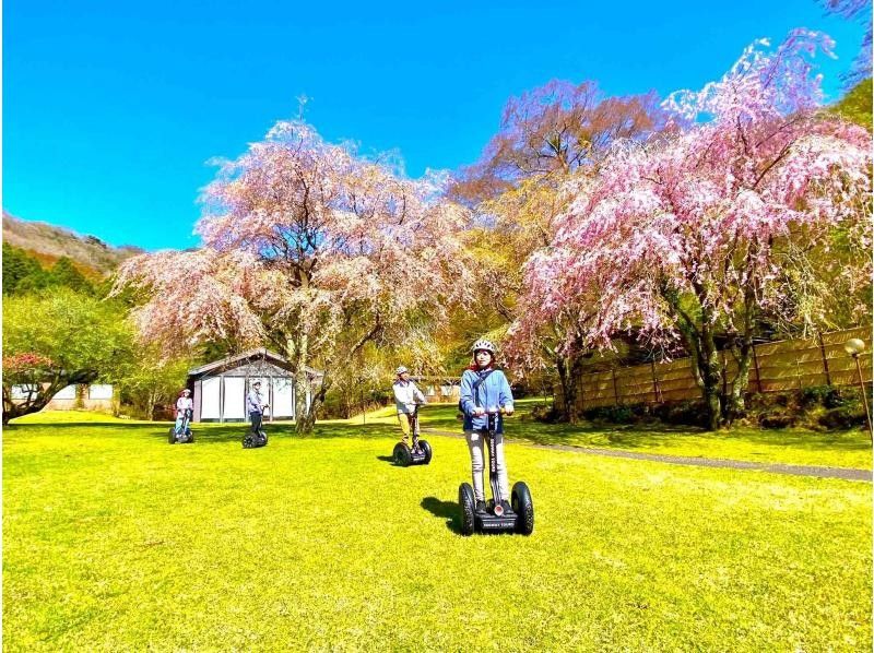 [神奈川-箱根-Kuzuryo Forest]箱根蘆之湖賽格威遊覽，教堂森林的自然體驗（2小時30分鐘）の紹介画像