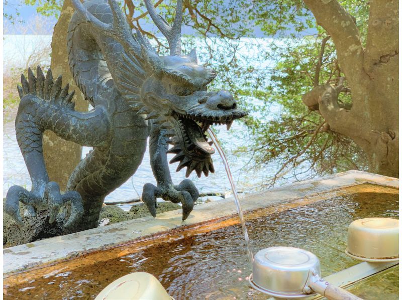 【神奈川・箱根・九頭龍の森】箱根芦ノ湖セグウェイツアー・鎮守の森で湖を眺めすすむ自然体験♪（2時間30分）の紹介画像