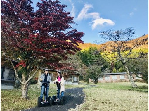 神奈川 箱根 九頭龍の森 箱根芦ノ湖セグウェイツアー 鎮守の森で自然体験 2時間30分 アクティビティジャパン