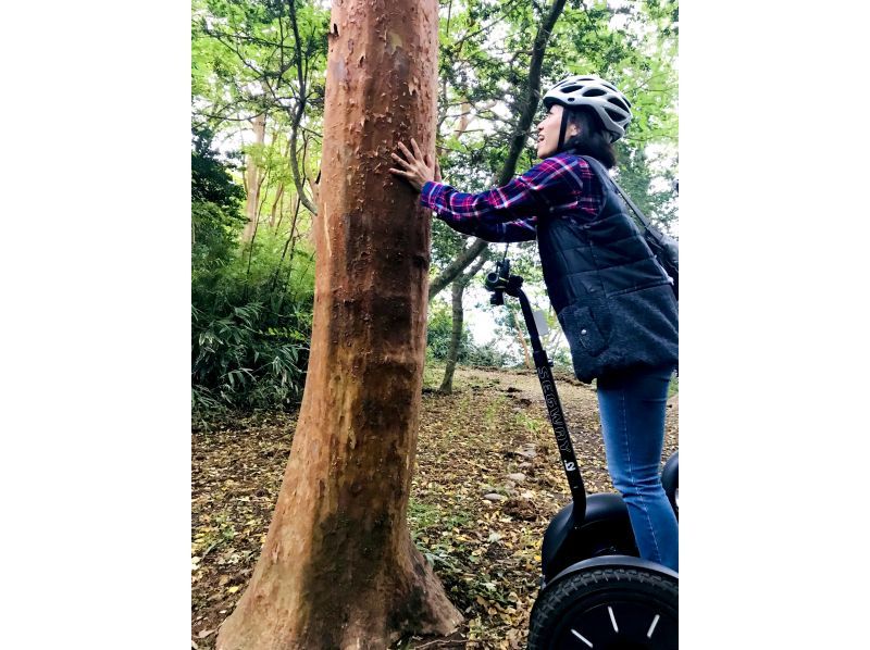 【神奈川・箱根・九頭龍の森】箱根芦ノ湖セグウェイツアー・鎮守の森で湖を眺めすすむ自然体験♪（2時間30分）の紹介画像