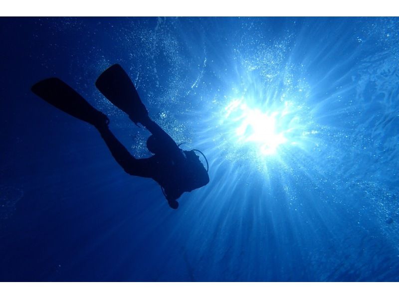 【縣內最高機率】私人導遊！帶水下數據的 GoPro ☆ 舒適 ☆ 乘船去！藍洞體驗潛水之旅 + 海洋露台燒烤計劃の紹介画像