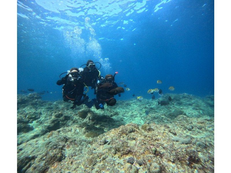 【県内１高確率】ガイド貸し切り！GoPro 水中データ付き☆快適☆ボートで行く！青の洞窟体験ダイビングツアー+オーシャンテラスBBQプランの紹介画像