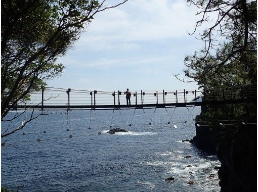 伊東のトレッキング ハイキングの予約 日本旅行 オプショナルツアー アクティビティ 遊びの体験予約 伊東のトレッキング ハイキングの予約 日本旅行 オプショナルツアー アクティビティ 遊びの体験予約