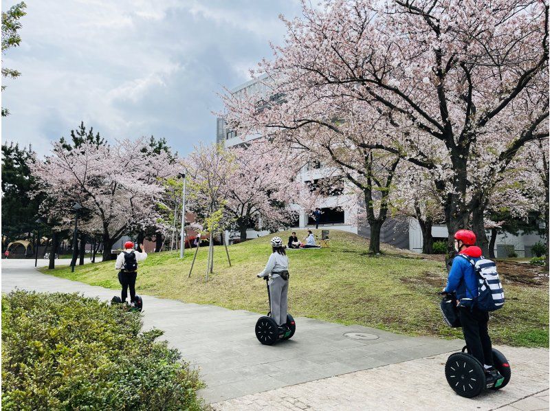 [Yokohama] Enjoy Yokohama's famous sights and cherry blossoms on a Segway! Tour the stylish cityscape, cherry blossom viewing, seaside breeze, and historical sites since the opening of Yokohama Port!の紹介画像