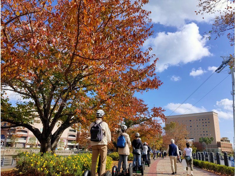 [Yokohama] Enjoy Yokohama's famous sights and cherry blossoms on a Segway! Tour the stylish cityscape, cherry blossom viewing, seaside breeze, and historical sites since the opening of Yokohama Port!の紹介画像