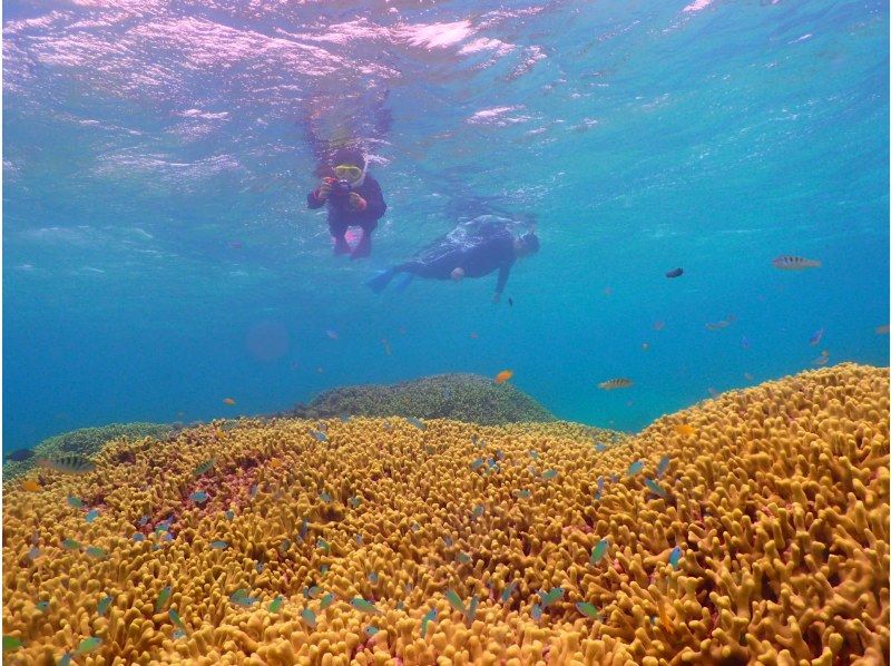 【沖縄・石垣島】安心安全少人数制☆1日コース☆幻の島＆体験ダイビング＆シュノーケリング【5/1～10/31】の紹介画像