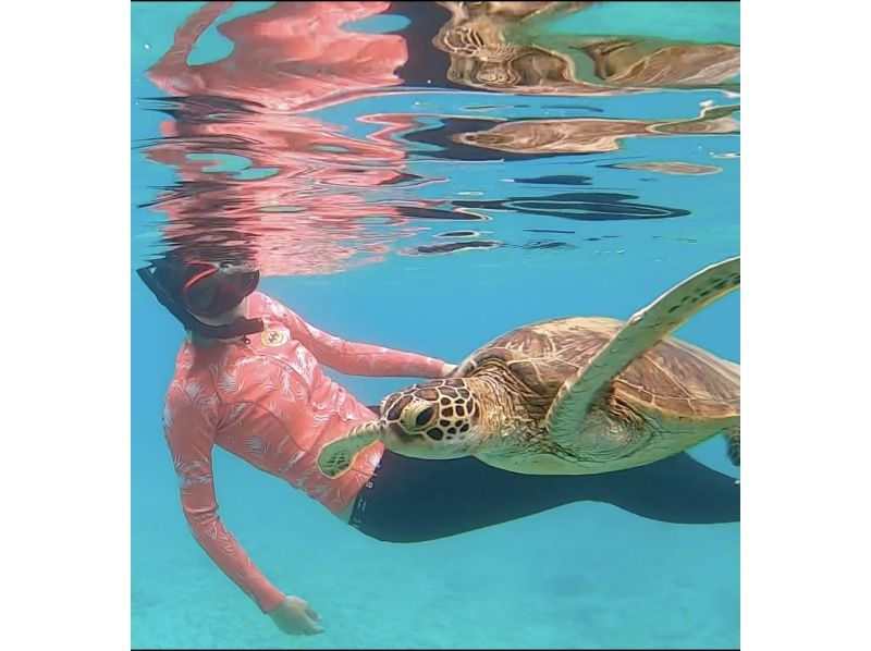 [Kagoshima / Amami Oshima] [World Natural Heritage] Snorkeling tour to swim with sea turtles