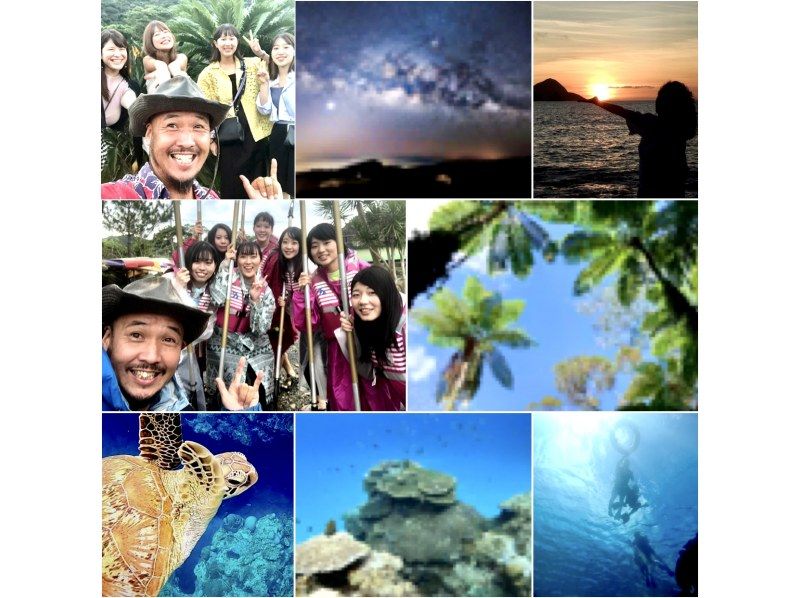 [鹿児島·奄美大島]讓我們和海龜一起游泳吧！海龜浮潛95％的旅遊/遇到率！の紹介画像