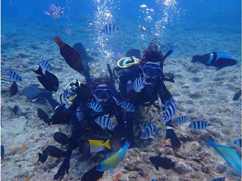 [★No need to worry if you don't have a car♪ Hotel pick-up included★] Blue Cave Diving Experience★Free photography and feeding♪ [Onna Village]の紹介画像