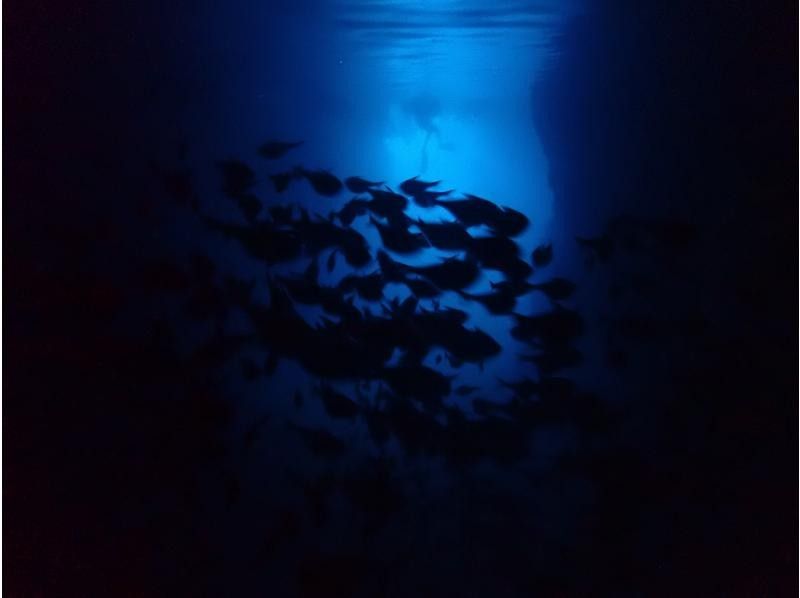 [★No need to worry if you don't have a car♪ Hotel pick-up included★] Blue Cave Diving Experience★Free photography and feeding♪ [Onna Village]の紹介画像