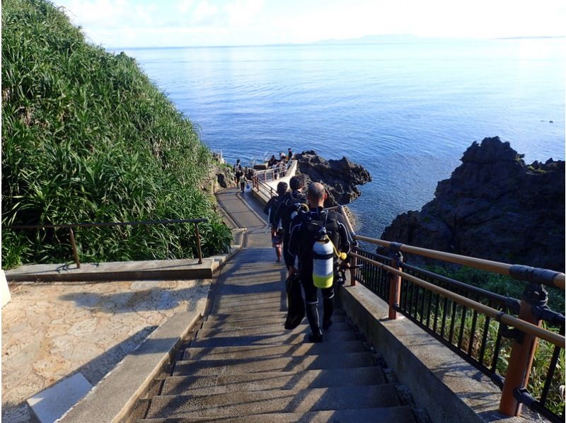 [★No need to worry if you don't have a car♪ Hotel pick-up included★] Blue Cave Diving Experience★Free photography and feeding♪ [Onna Village]の紹介画像