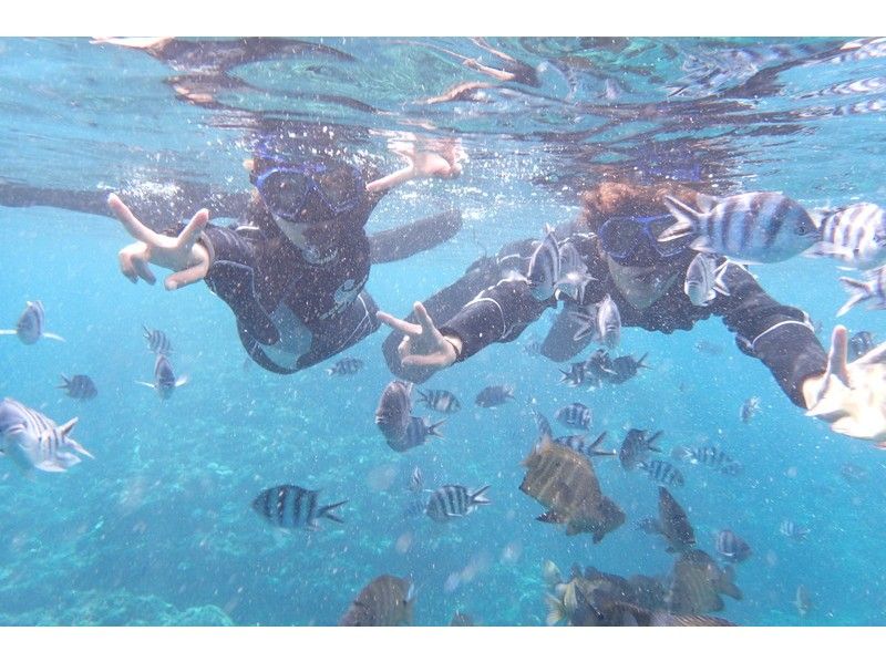 ★ Hotel pick-up included ★ [Okinawa ・ Onna village] Blue cave snorkel experience ★ Photography & feeding experience tourの紹介画像