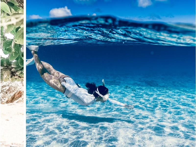 Completely chartered from 1 person ★ Enjoyable skin dive improvement ★ Freedivers are in charge and it is very safe! Shooting data can be handed over to the smartphone on the spot on the day ◎ With long finsの紹介画像