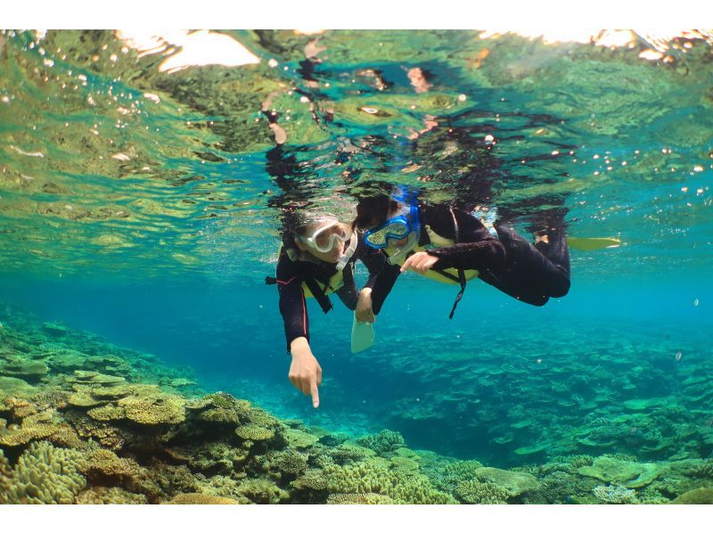 【本部町・シュノーケル(1回プラン)】気軽に体験！透明度抜群な海でウミガメにも会えるかも！絶景体験を味わおう！（写真無料）の紹介画像