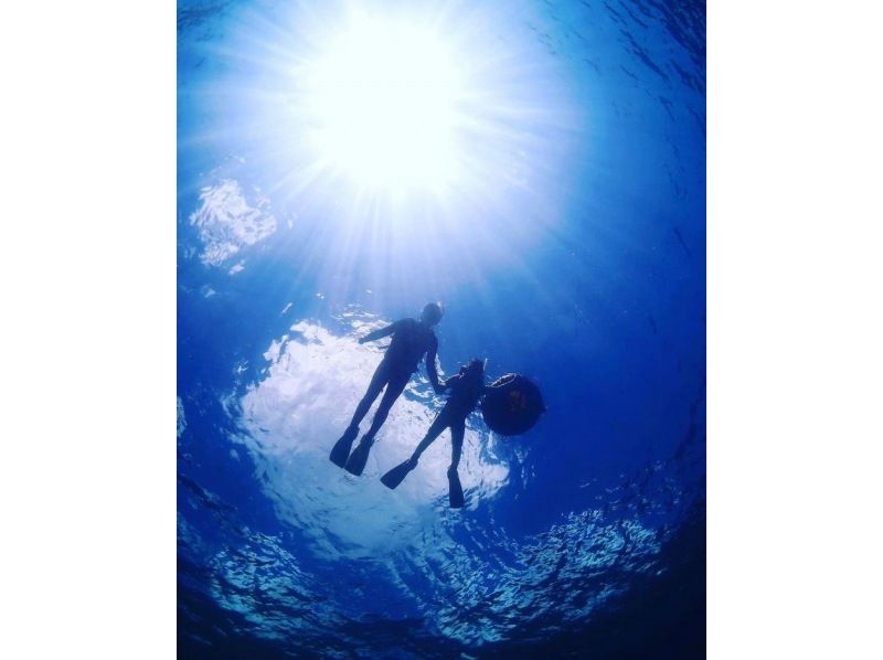 【本部町・シュノーケル(1回プラン)】気軽に体験！透明度抜群な海でウミガメにも会えるかも！絶景体験を味わおう！（写真無料）の紹介画像