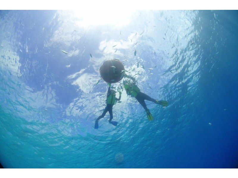 【本部町・シュノーケル(1回プラン)】気軽に体験！透明度抜群な海でウミガメにも会えるかも！絶景体験を味わおう！（写真無料）の紹介画像