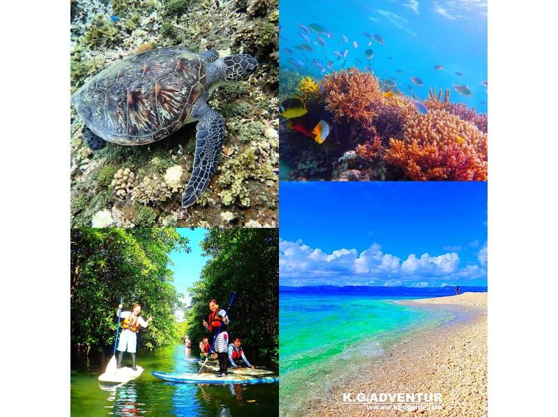 [Ishigaki，Iriomote Island]未开发区域的红树林独木舟和上游水域，可与巴拉斯岛和海龟一起游泳浮潜の紹介画像