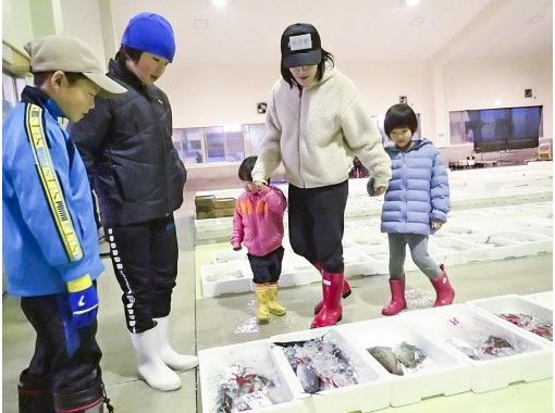 熊本 天草 天草の魚に会いに行こう ぎょぎょっと 天草うお市場探検 食事付き アクティビティジャパン