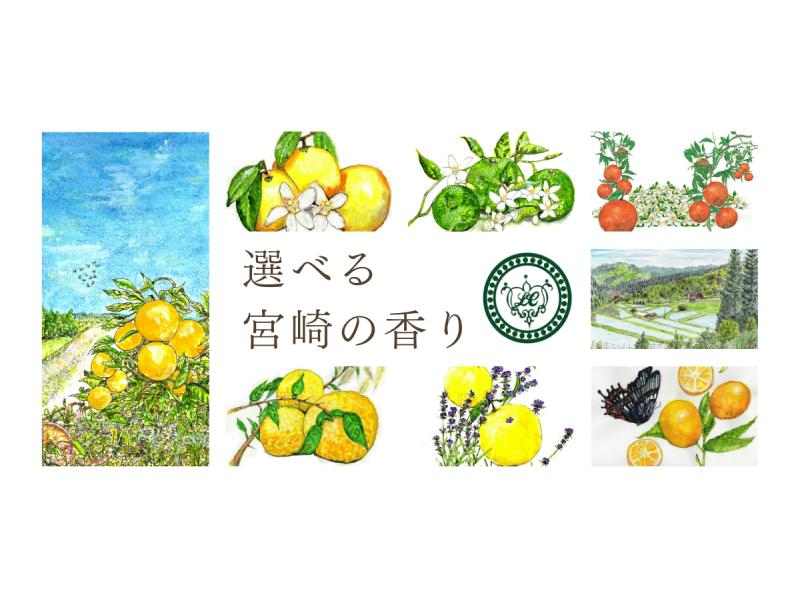 Spring sale underway [Perfumery Experience] [Miyazaki Full Enjoyment Course] Regional coupons available. Choose a scent from Miyazaki and experience making it.の紹介画像