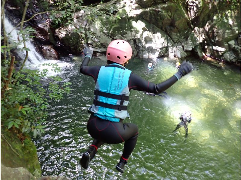 【1조 대여】쥬라식 월드의 세계, 정글 모험 어드벤처(초등학생 방향)★사진・동영상 첨부★の紹介画像