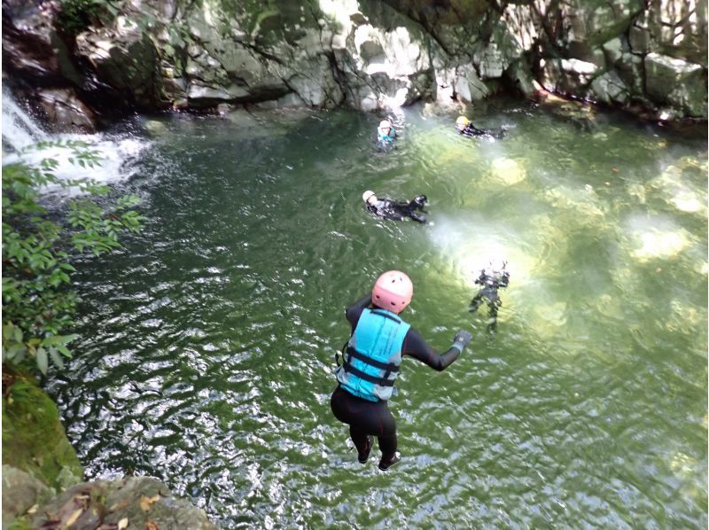 【1組貸し切り】ジュラシックワールドの世界、ジャングル冒険アドベンチャー（小学生向き）★写真・動画付き★の紹介画像