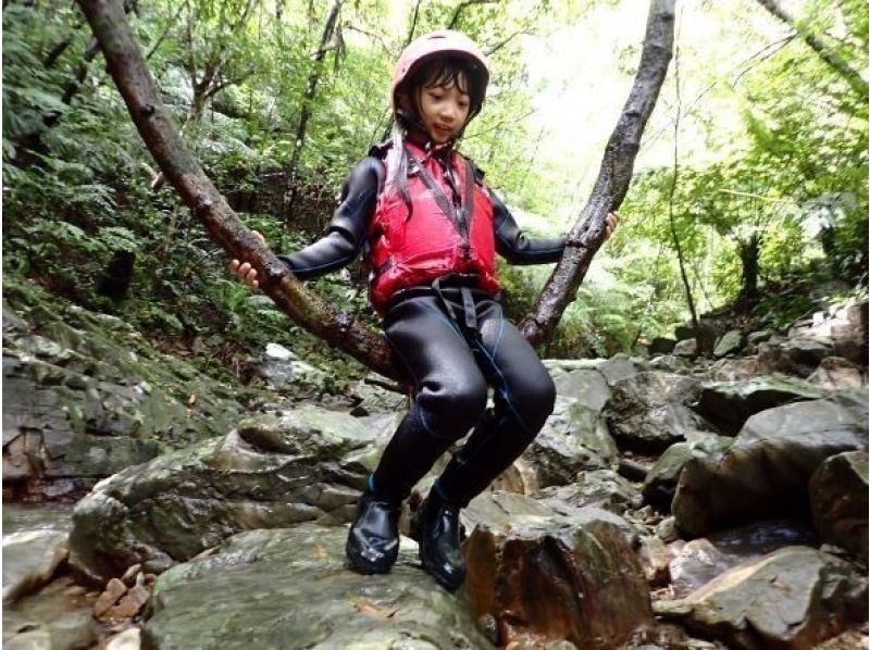 【1조 대여】쥬라식 월드의 세계, 정글 모험 어드벤처(초등학생 방향)★사진・동영상 첨부★の紹介画像