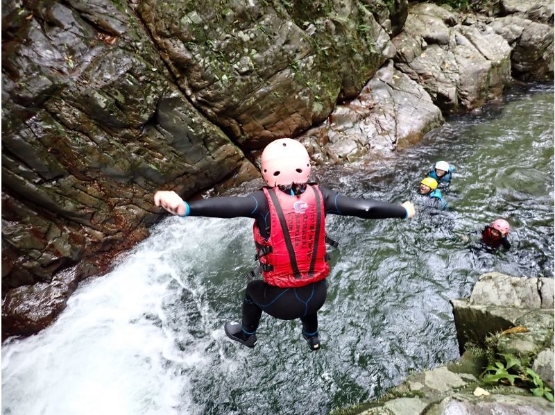 【1조 대여】쥬라식 월드의 세계, 정글 모험 어드벤처(초등학생 방향)★사진・동영상 첨부★の紹介画像