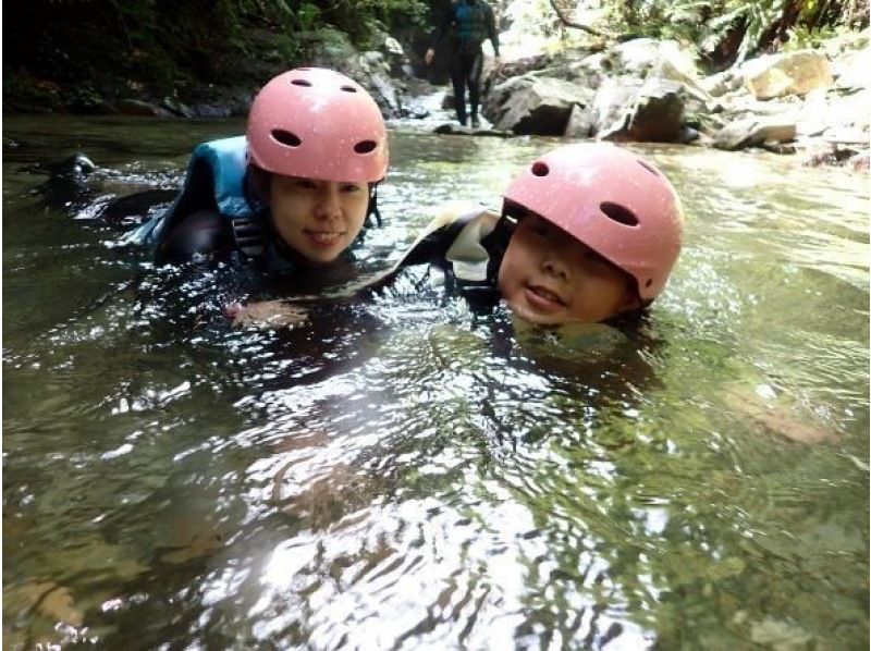 【1조 대여】쥬라식 월드의 세계, 정글 모험 어드벤처(초등학생 방향)★사진・동영상 첨부★の紹介画像