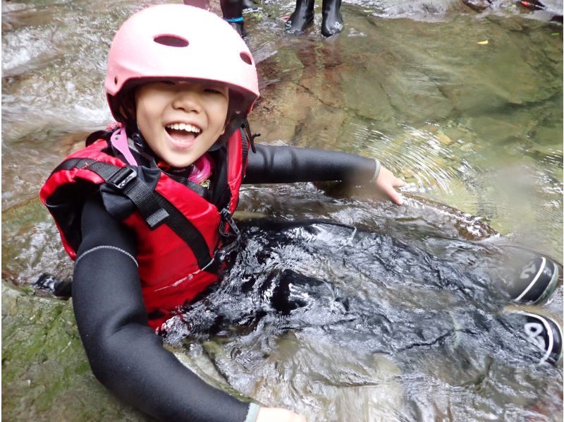 【1조 대여】쥬라식 월드의 세계, 정글 모험 어드벤처(초등학생 방향)★사진・동영상 첨부★の紹介画像