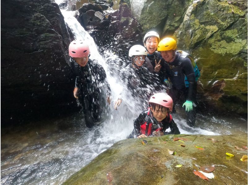 【1組貸し切り】ジュラシックワールドの世界、ジャングル冒険アドベンチャー（小学生向き）★写真・動画付き★の紹介画像