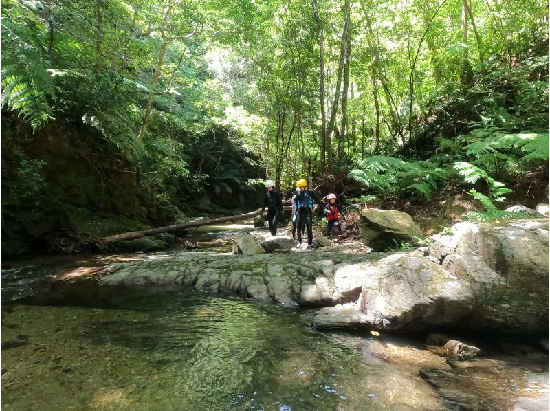 【1組貸し切り】ジュラシックワールドの世界、ジャングル冒険アドベンチャー（小学生向き）★写真・動画付き★の紹介画像