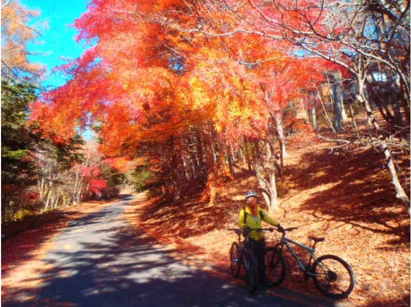 [Nagano ・ Karuizawa】 MTB Cycling "Karuizawa Ura Michi Expedition Ride" ☆ Secret back route & dirt running too!の紹介画像