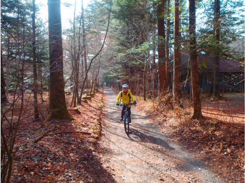 [Nagano ・ Karuizawa】 MTB Cycling "Karuizawa Ura Michi Expedition Ride" ☆ Secret back route & dirt running too!の紹介画像