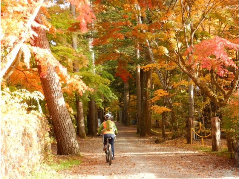 [Nagano ・ Karuizawa】 MTB Cycling "Karuizawa Ura Michi Expedition Ride" ☆ Secret back route & dirt running too!の紹介画像