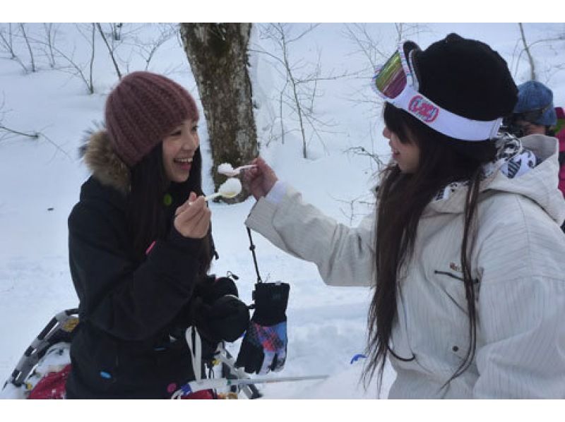【福島・裏磐梯】※午前実施 手ぶらでOK♪ 神秘の森を歩く五色沼スノーシューの紹介画像