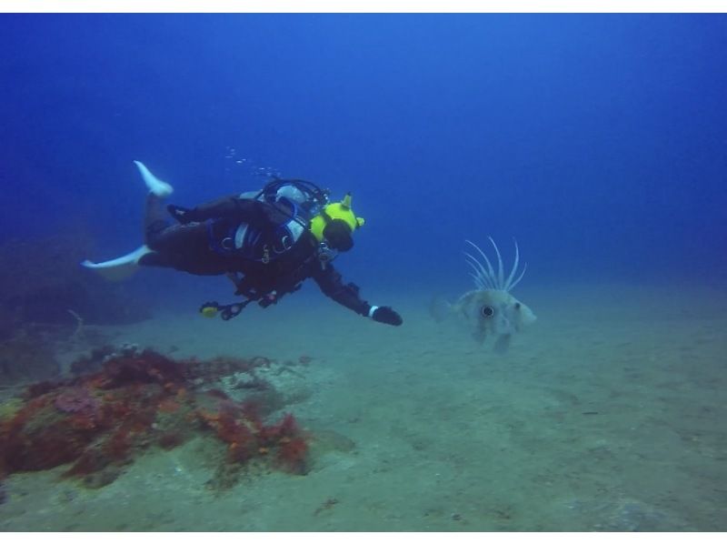PADI Advanced Open Water Diver Courseの紹介画像