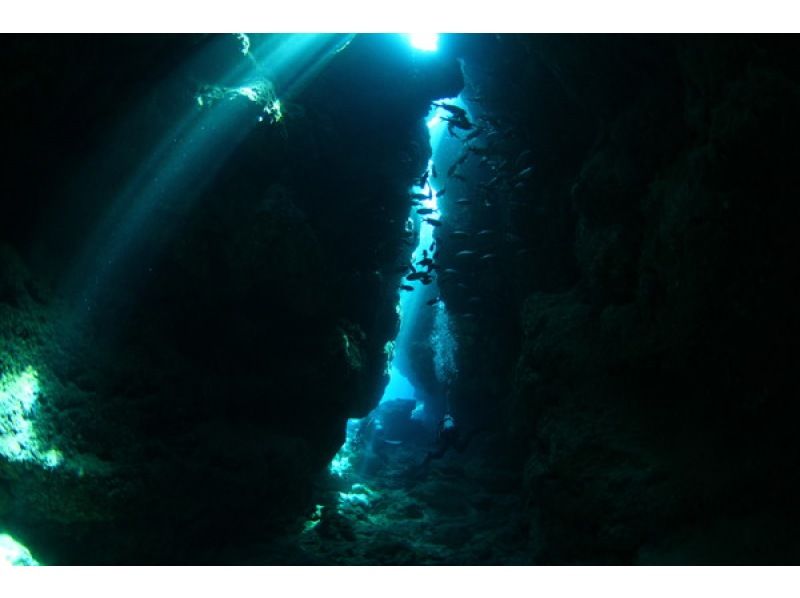 【那覇発・万座2ボート】那覇市内ホテル送迎付き☆2名以上参加で2DIVE17000円☆ボートFUNダイビング２本☆の紹介画像