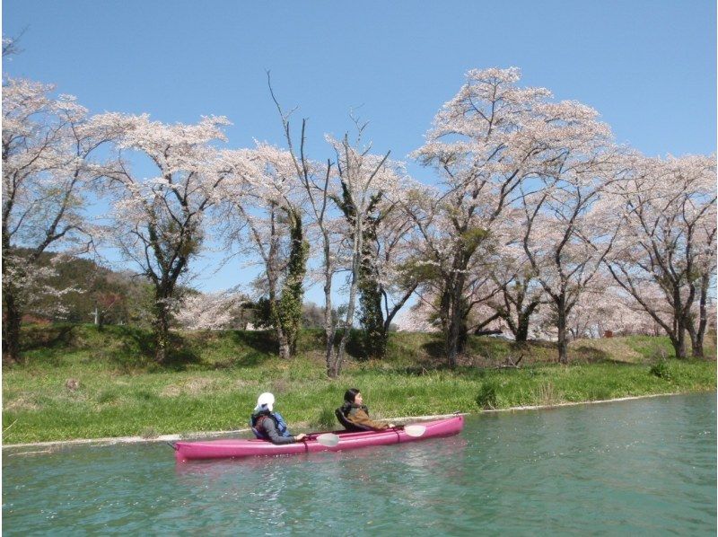 【秩父 長瀞周辺／埼玉 群馬／関東】4才〜初めてOK！カヌー カヤック体験　春はお花見☆新緑、秋は紅葉★＆冬桜　東京都心から日帰りも◎の紹介画像