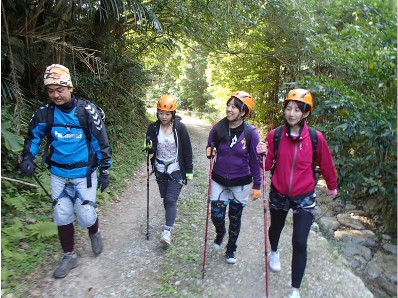 【沖縄本島・北部】1組限定貸し切り！初心者の為のロッククライミングの紹介画像