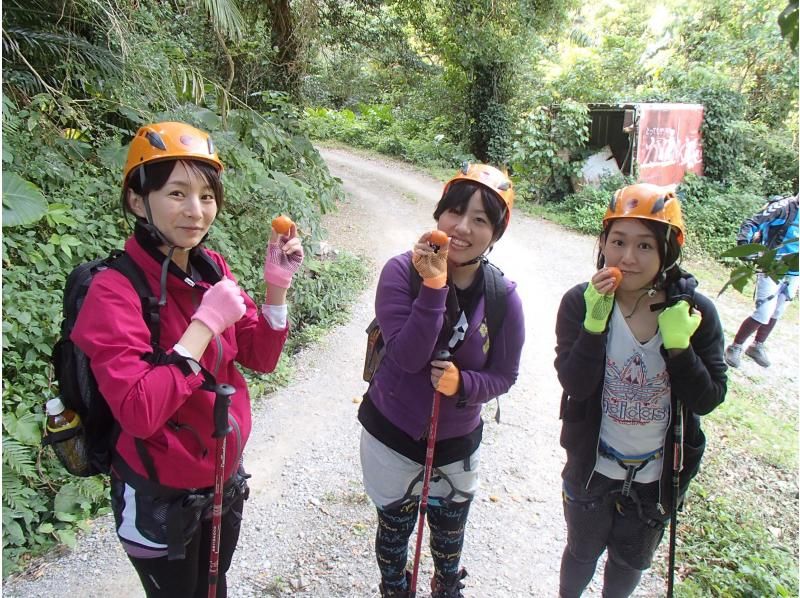 [沖繩本島/北部]私人預約僅限1組！適合初學者的攀岩の紹介画像