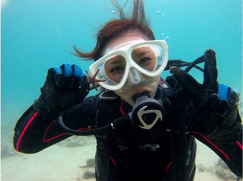 [Kagoshima-Amami Oshima] experience divingの紹介画像