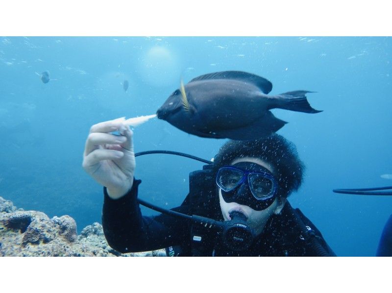 [沖縄·恩納村]推薦套餐課程！ ！藍洞浮潛和尼莫和珊瑚體驗深潛♪の紹介画像