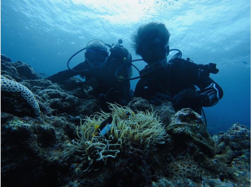 [โอกินาว่า・ หมู่บ้านออนนา] ชุดเซตแนะนำ! ! การดำน้ำดูปะการังในถ้ำและบ่อน้ำและประสบการณ์ปะการังดำน้ำ♪の紹介画像