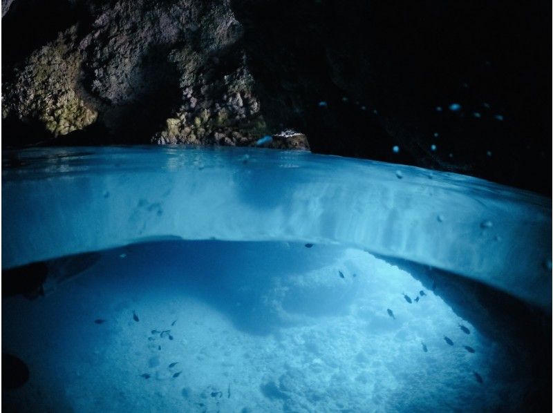 [Okinawa ・ Onna village】 Cheap! Go by boat blue cave Snorkeling ♪ (2 years old-participation OK!)の紹介画像