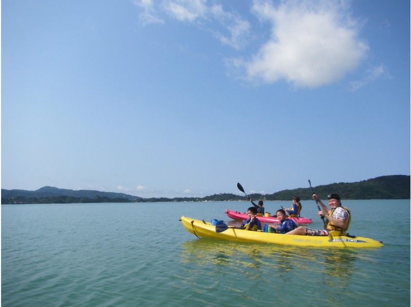 Yagaji岛红树林和海上皮划艇の紹介画像