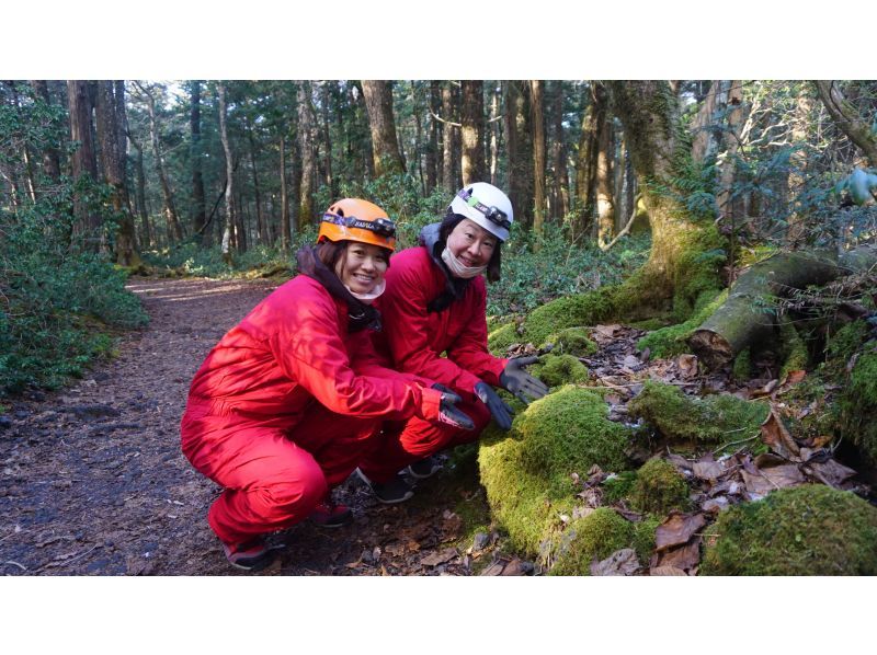 [Yamanashi Prefecture, caving and corona measures are being implemented! ] Journey to explore the truth of Jukai / Mysterious forest, Aokigahara Jukai walk & lava cave explorationの紹介画像