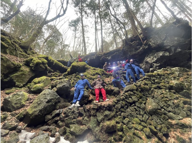 【山梨県・河口湖】富士の森・青木ヶ原樹海散策と洞窟探検ツアーの紹介画像