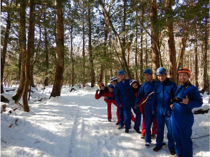 【山梨県・ケイビング】冬でも楽しめる・青木ヶ原樹海　森の散策と洞窟探検ツアーの紹介画像