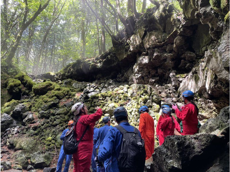 【山梨県・河口湖】富士の森・青木ヶ原樹海散策と洞窟探検ツアーの紹介画像