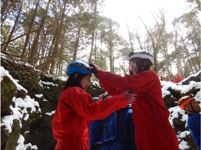 [Yamanashi Prefecture, caving and corona measures are being implemented! ] Journey to explore the truth of Jukai / Mysterious forest, Aokigahara Jukai walk & lava cave explorationの紹介画像